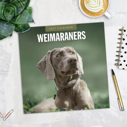 Red Robin Weimaraner Kalender 2027