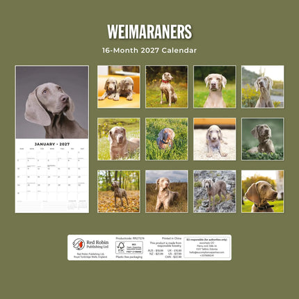 Red Robin Weimaraner Kalender 2027