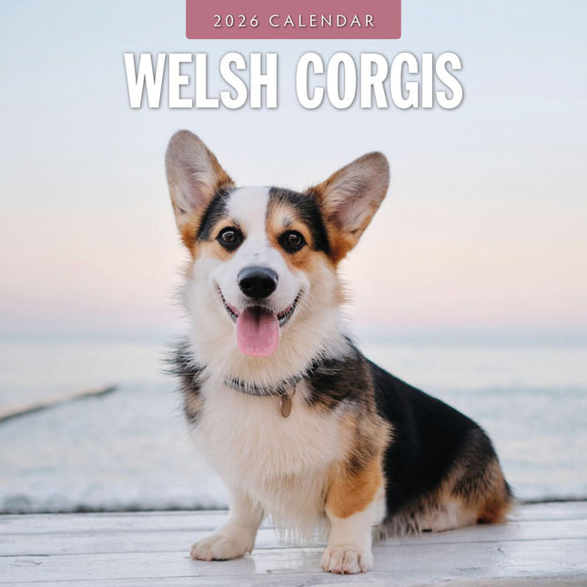 Red Robin Welsh Corgi Kalender 2026