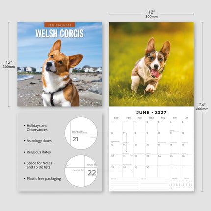 Red Robin Welsh Corgi Kalender 2027