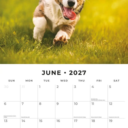 Red Robin Welsh Corgi Kalender 2027