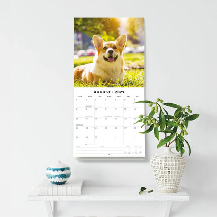 Red Robin Welsh Corgi Kalender 2027