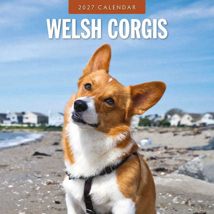 Red Robin Welsh Corgi Kalender 2027