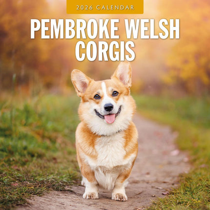 Red Robin Welsh Corgi Pembroke Kalender 2026