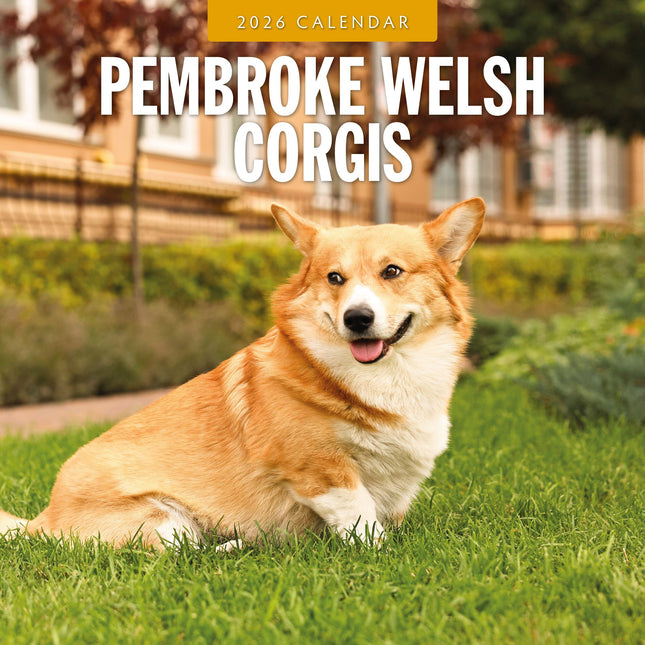 Red Robin Welsh Corgi Pembroke Kalender 2026
