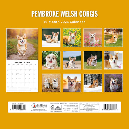 Red Robin Welsh Corgi Pembroke Kalender 2026