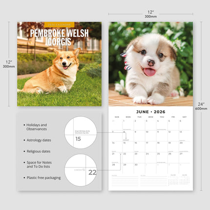 Red Robin Welsh Corgi Pembroke Kalender 2026