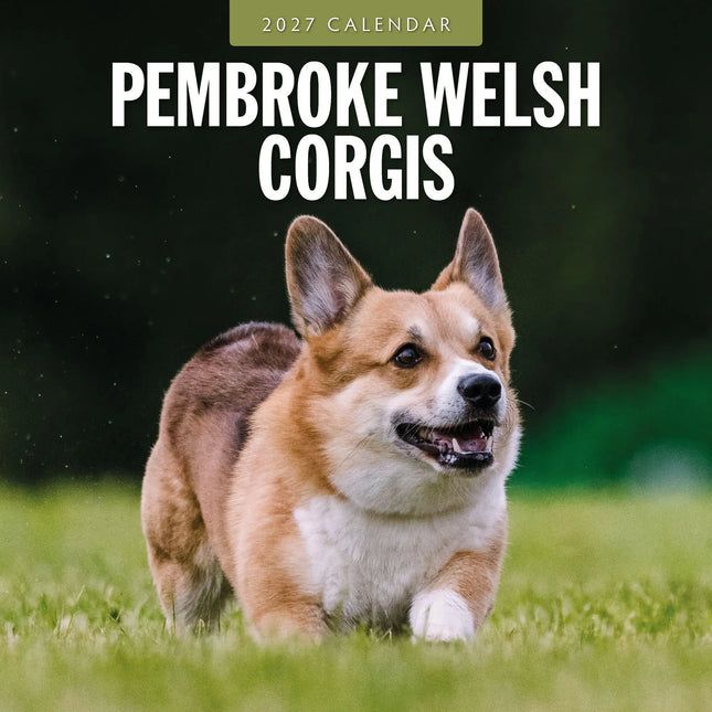 Red Robin Welsh Corgi Pembroke Kalender 2027