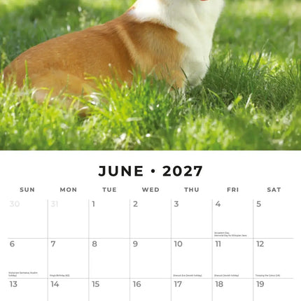 Red Robin Welsh Corgi Pembroke Kalender 2027