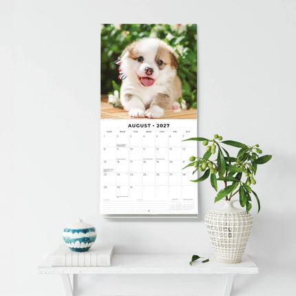Red Robin Welsh Corgi Pembroke Kalender 2027