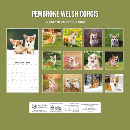Red Robin Welsh Corgi Pembroke Kalender 2027