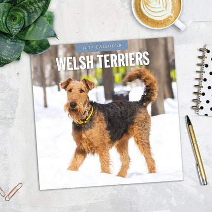 Red Robin Welsh Terrier Kalender 2027