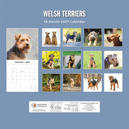 Red Robin Welsh Terrier Kalender 2027