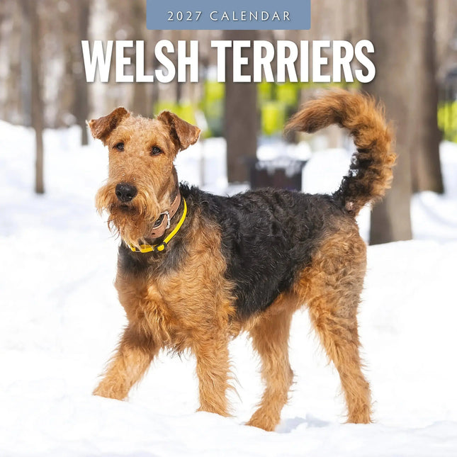 Red Robin Welsh Terrier Kalender 2027