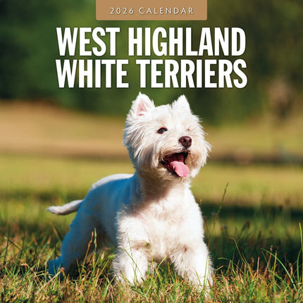 Red Robin West Highland White Terrier Kalender 2026