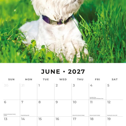 Red Robin West Highland White Terrier Kalender 2027
