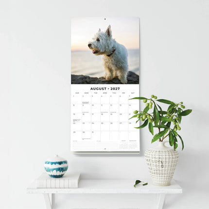 Red Robin West Highland White Terrier Kalender 2027
