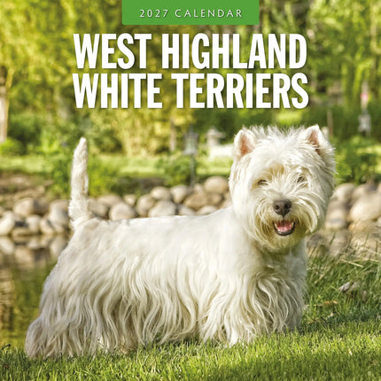 Red Robin West Highland White Terrier Kalender 2027