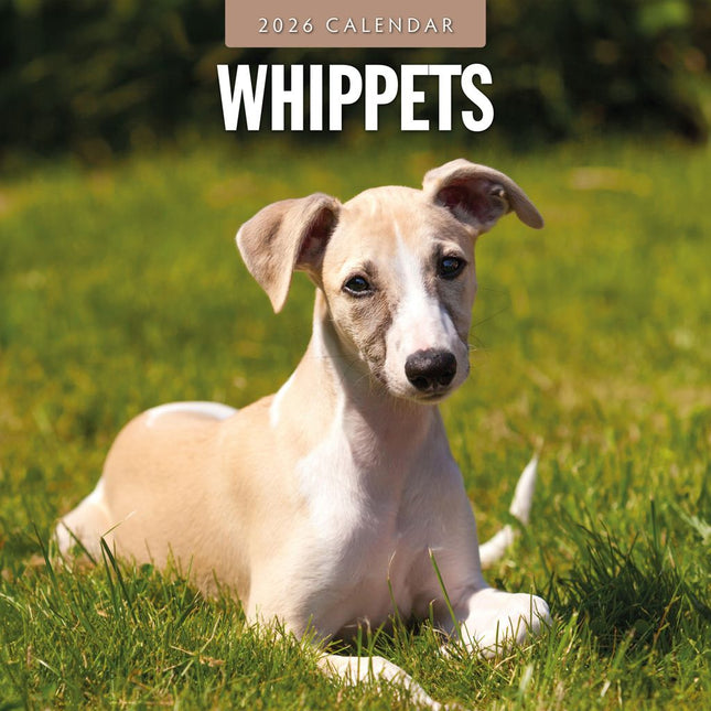 Red Robin Whippet Kalender 2026