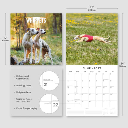 Red Robin Whippet Kalender 2027