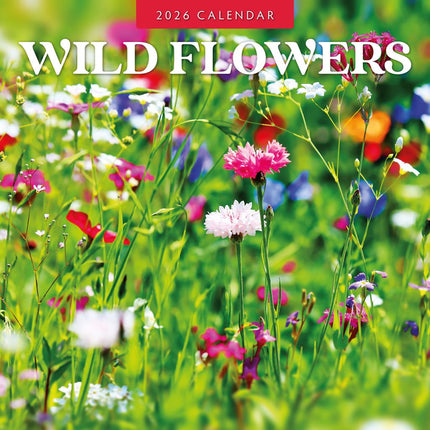 Red Robin Wild Flowers Kalender 2026