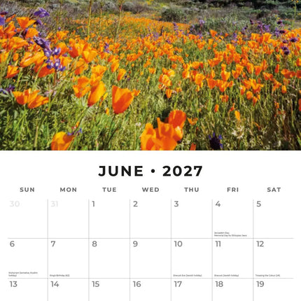 Red Robin Wilde Bloemen Kalender 2027
