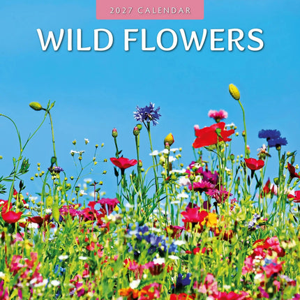 Red Robin Wilde Bloemen Kalender 2027