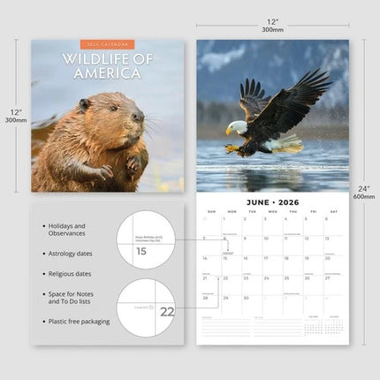 Red Robin Wildlife of America Kalender 2026