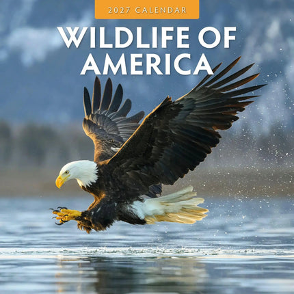 Red Robin Wildlife of America Kalender 2027