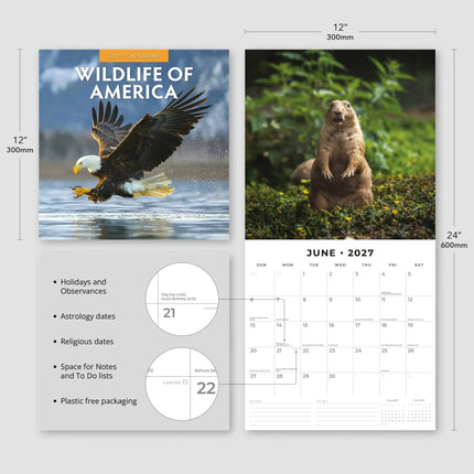 Red Robin Wildlife of America Kalender 2027