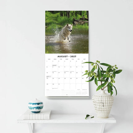 Red Robin Wildlife of America Kalender 2027