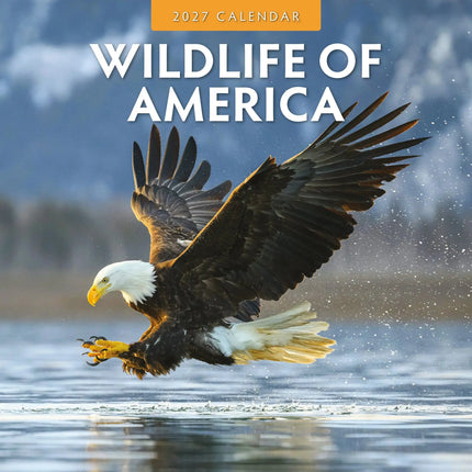 Red Robin Wildlife of America Kalender 2027