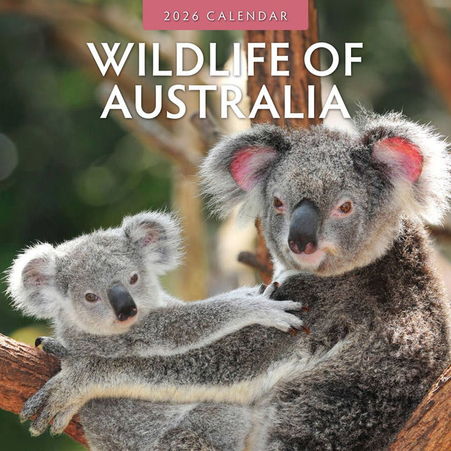 Red Robin Wildlife of Australia Kalender 2026
