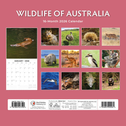 Red Robin Wildlife of Australia Kalender 2026