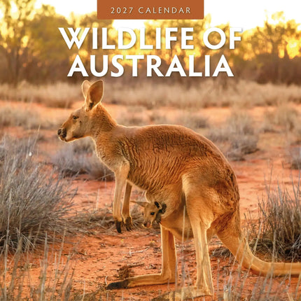 Red Robin Wildlife of Australia Kalender 2027
