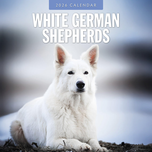 Red Robin Witte Herder Kalender 2026