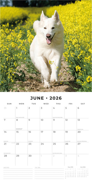 Red Robin Witte Herder Kalender 2026