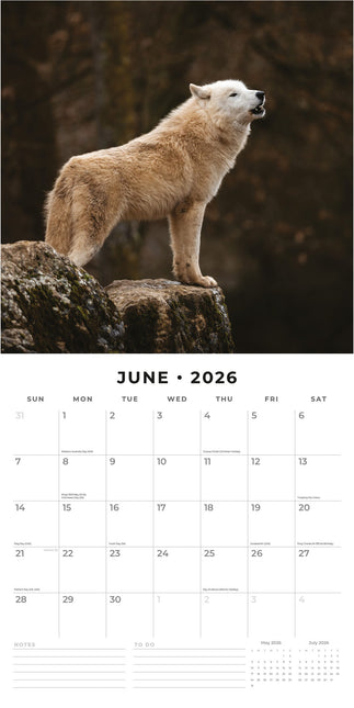 Red Robin Wolven Kalender 2026