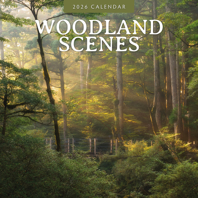 Red Robin Woodland Scenes Kalender 2026