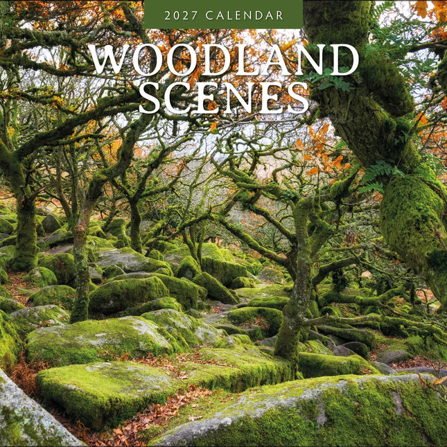 Red Robin Woodland Scenes Kalender 2027