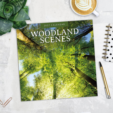 Red Robin Woodland Scenes Kalender 2027