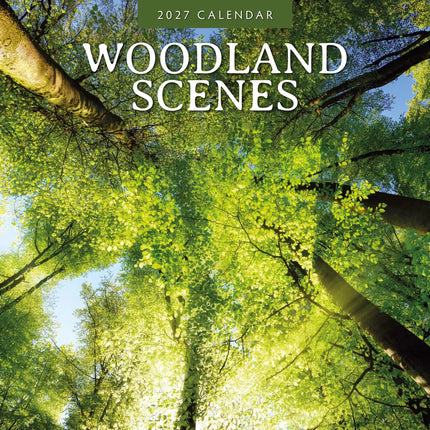 Red Robin Woodland Scenes Kalender 2027