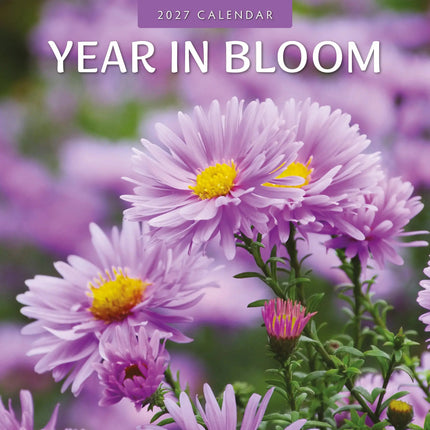 Red Robin Year in Bloom Kalender 2027