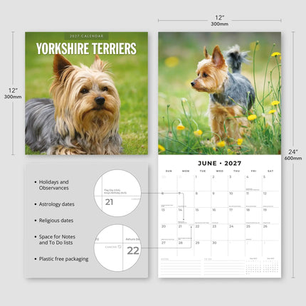 Red Robin Yorkshire Terrier Kalender 2027