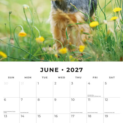 Red Robin Yorkshire Terrier Kalender 2027