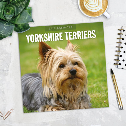 Red Robin Yorkshire Terrier Kalender 2027
