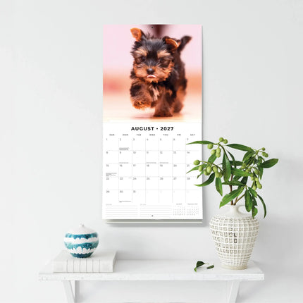 Red Robin Yorkshire Terrier Kalender 2027
