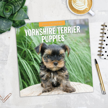 Red Robin Yorkshire Terrier Puppies Kalender 2026