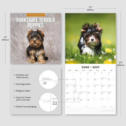 Red Robin Yorkshire Terrier Puppies Kalender 2027
