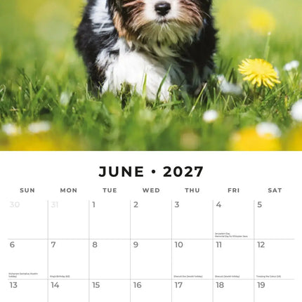 Red Robin Yorkshire Terrier Puppies Kalender 2027